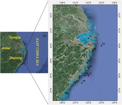 Occurrences, Sources, and Human Health Risk Assessments of Polycyclic Aromatic Hydrocarbons in Marine Organisms From Temperate Coastal Area
